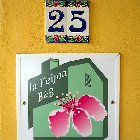 La Feijoa * Segni