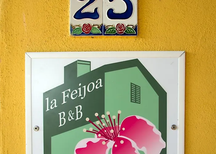 La Feijoa * Segni